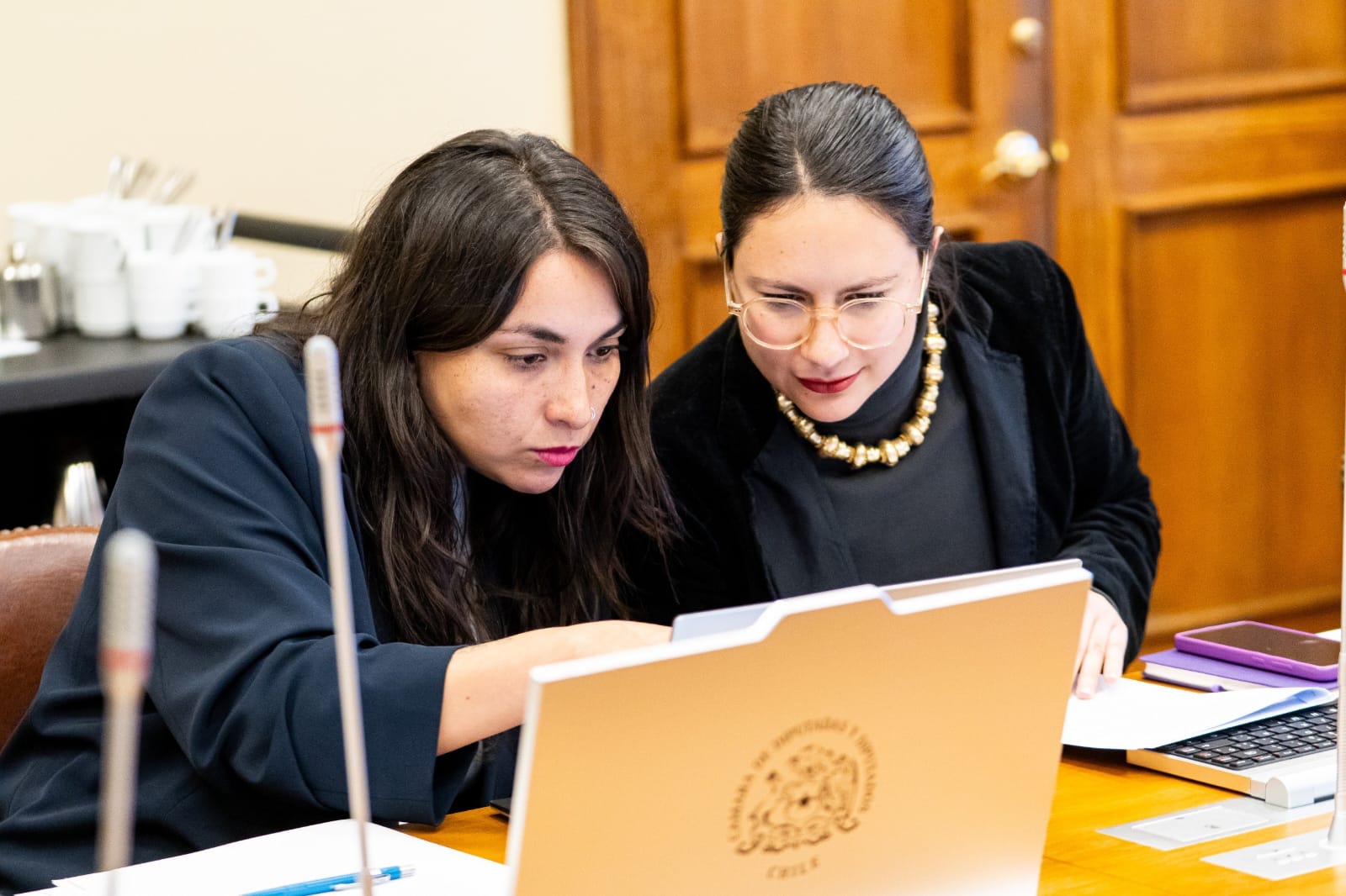 Diputadas del FA y PC ofician a Economía por incumplir plazo para implementar ley de mujeres en directorios