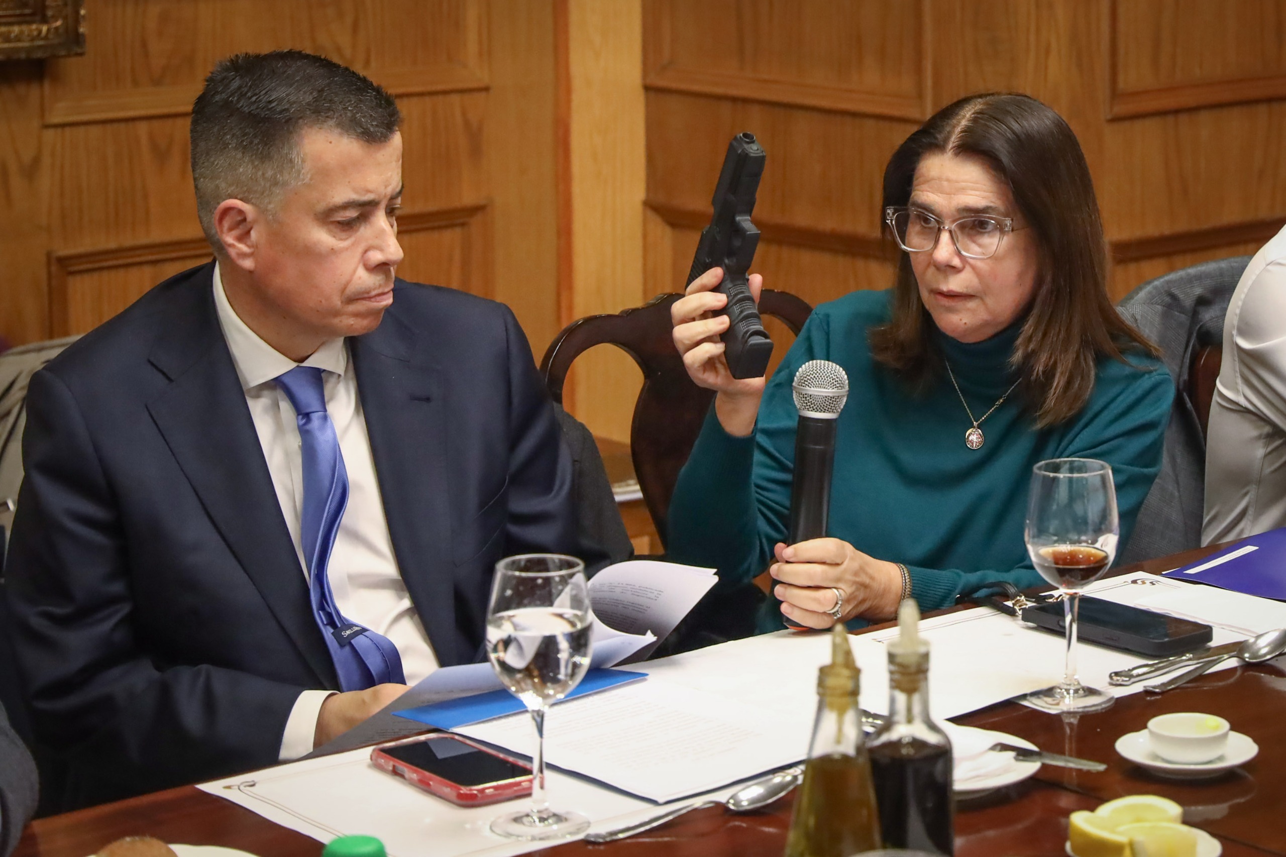 Diputada Ossandón impulsa proyecto para prohibir "armas fantasma": Propone regular fabricación 3D y sancionar difusión de planos digitales