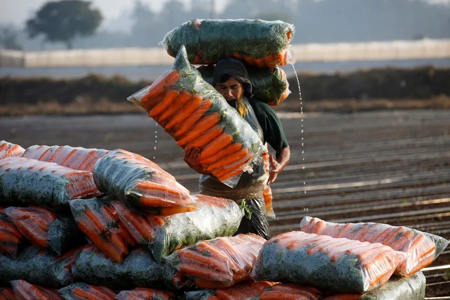 La ONU prevé un «golpe» de El Niño a la seguridad alimentaria en Centroamérica