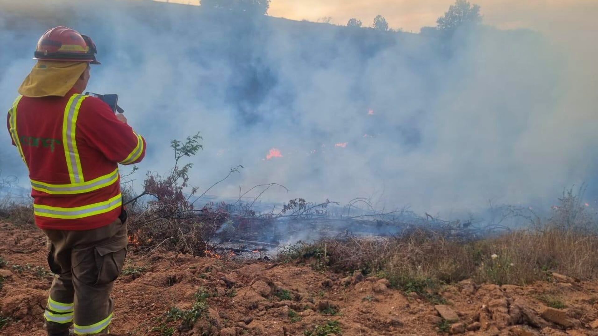 Por viento Puelche CONAF restringe el uso del fuego en toda la Región del Biobío