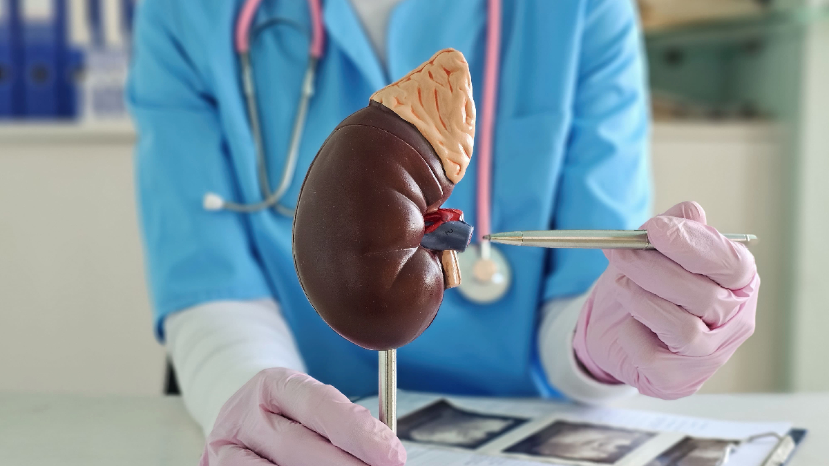 Cómo enfrentar el desafío de fortalecer la donación de órganos y la importancia del cuidado de los pacientes trasplantados