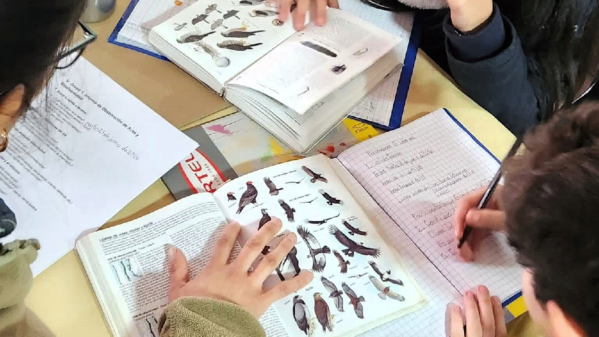 Programa Acciona inicia segundo semestre con proyectos artísticos para la educación formal