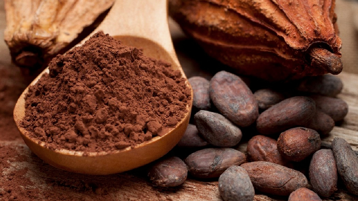 Mitos y verdades sobre el chocolate y la salud