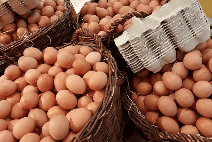 Producción de huevos de consumo cae 1,1% en mayo