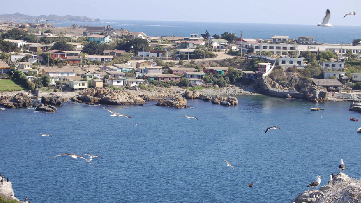 Agua para vecinos y turistas: Pichidangui explora desalación sostenible para fortalecer su abastecimiento