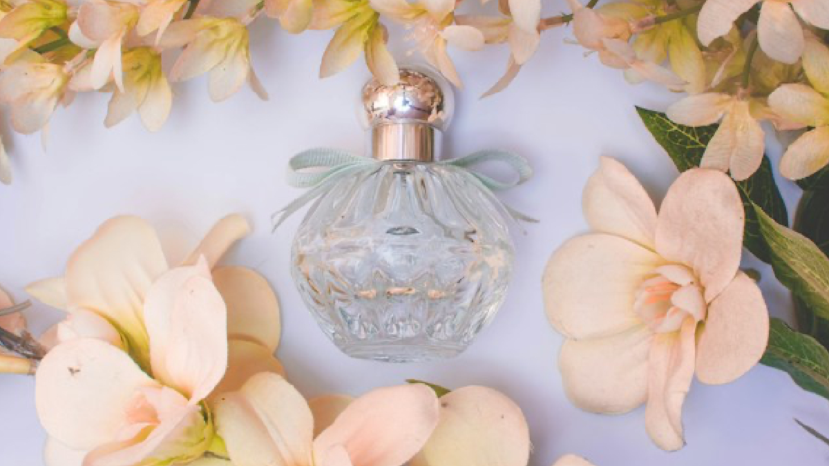 Regalar perfumes: cómo elegir la fragancia perfecta